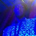 Christopher Khan - Facebook