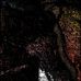 Christopher Kirk - Facebook