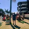 KristopherMitchell - @drakeauhklc - TikTok