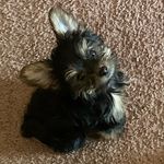 Kristopher Payne - @kris.to.pher_p - Instagram