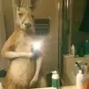 Christopher Salas - @christophersalas21 - TikTok
