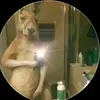 Christopher Salas - @christopher.salas25 - TikTok