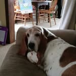 Kristopher Sanchez - @kaswba - Instagram