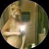 Kristopher Sanchez - @kristophersanche2 - TikTok