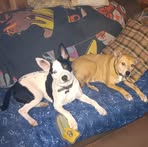 Kristopher Shane Woodard - Facebook