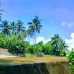 Christopher Stanley - @christopherstanley4 - Instagram