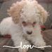 Kristopher Stephens - Facebook
