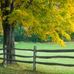 Kristopher Stevens - Facebook