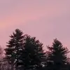 Christopher Swanson - @christopherswans5 - TikTok