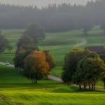 Christopher Swanson - @christopherswansonwrp99447 - Instagram