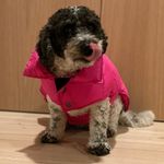 Kristopherwalter - @kristopherwalter222 - Instagram