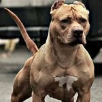 Kristopher Warren - @kristopher.warren.10236 - Instagram