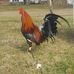 Christopher Welch - Facebook