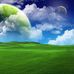 Christopher Whitehead - Facebook