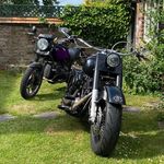 Christopher Whitehead - @christopherwhitehead9754 - Instagram