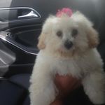 Kristy Ackerman - @ackermankristy - Instagram