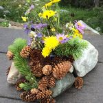 Kristy Becker - @bloominflowers71 - Instagram