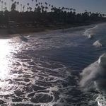 Kristy Brown-Becker - @brownbecker - Instagram
