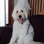 Kristy Bowersox - @kristybowersox - Instagram