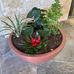 Kristi Becker - Facebook
