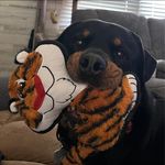 Christy Causey Nelson - @cmarie1979 - Instagram