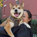 Kristy Cho - @kristy.cho - Instagram