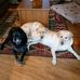 Christy Comstock - Facebook
