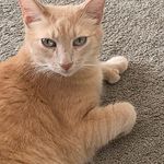 Kristine M. Comstock - @kristine_comstock - Instagram