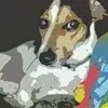 kristygeiger915 - @kristygeiger915 - TikTok