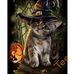 Kristy Guy - Facebook