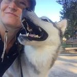 Kristy Guy - @ermington_petsitter - Instagram