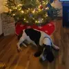 Kristy Keyes - @kristykeyes3 - TikTok