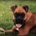 Kristy Kramer - Facebook