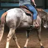 Kristy Mapps - @kristymapps - TikTok