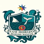 Kristy O'Donnell - @bluehorizonmarinerescue - Instagram