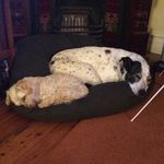 Kristy Power - @the_power_pack - Instagram