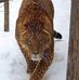 Kristy Shaffer - Facebook