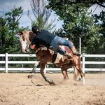Kristy Simpson - @horsebackandtattoos - Instagram
