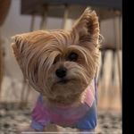 Kristi Singleton - @kristi.singleton.98 - Instagram