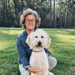 Kristy Johnson Sipes - @kristysipes - Instagram