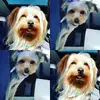 KRISTI SLONE - @kristi.slone - TikTok