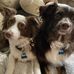 Kristy Alanna Squires - Facebook