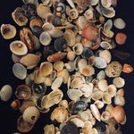 Christy Whaley - @christywhale - Instagram