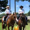 thomthom - @kristynthomas4 - TikTok