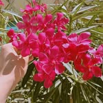 Kriti Rawal - @kriti_rawal_03 - Instagram