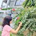 Kritika Vaishnav - Facebook