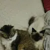 Krys Krys - @krys.krys8 - TikTok