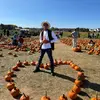 krys_wilson450 - @krys_wilson450 - TikTok