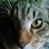 krysta johnson - @user5943099228769 - TikTok