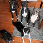 Krysta Johnson - Facebook